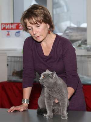 �������� ����� '������� ���-�����' 30 ������-1 ������� 2013., WCF-����� 4216